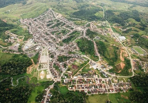 Pau Brasil