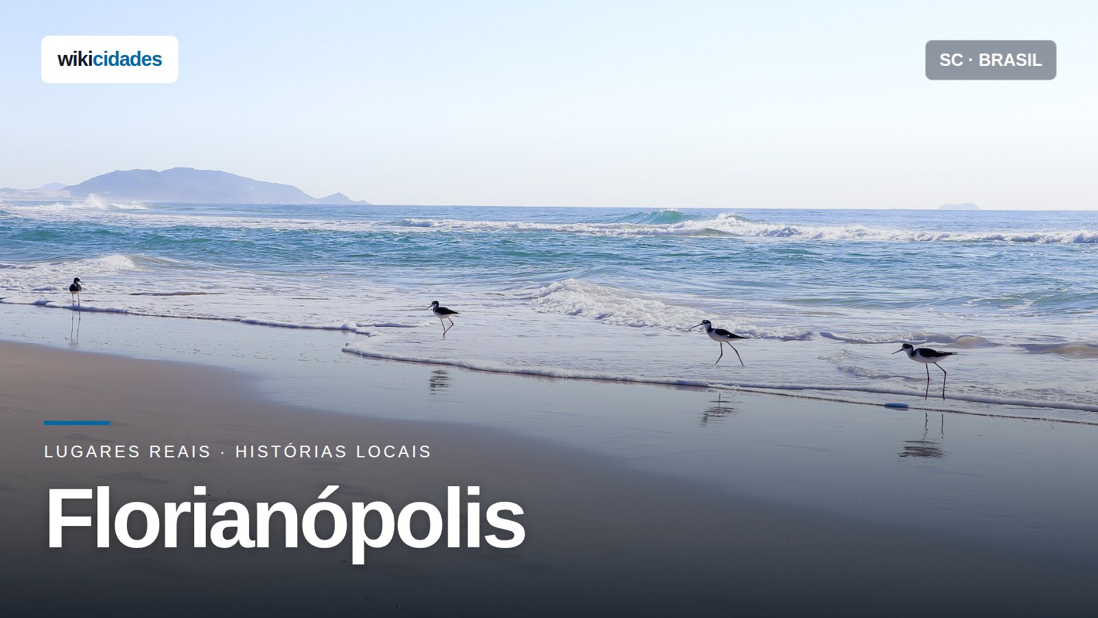 Qual a melhor praia de Florianópolis? Compare seis opções