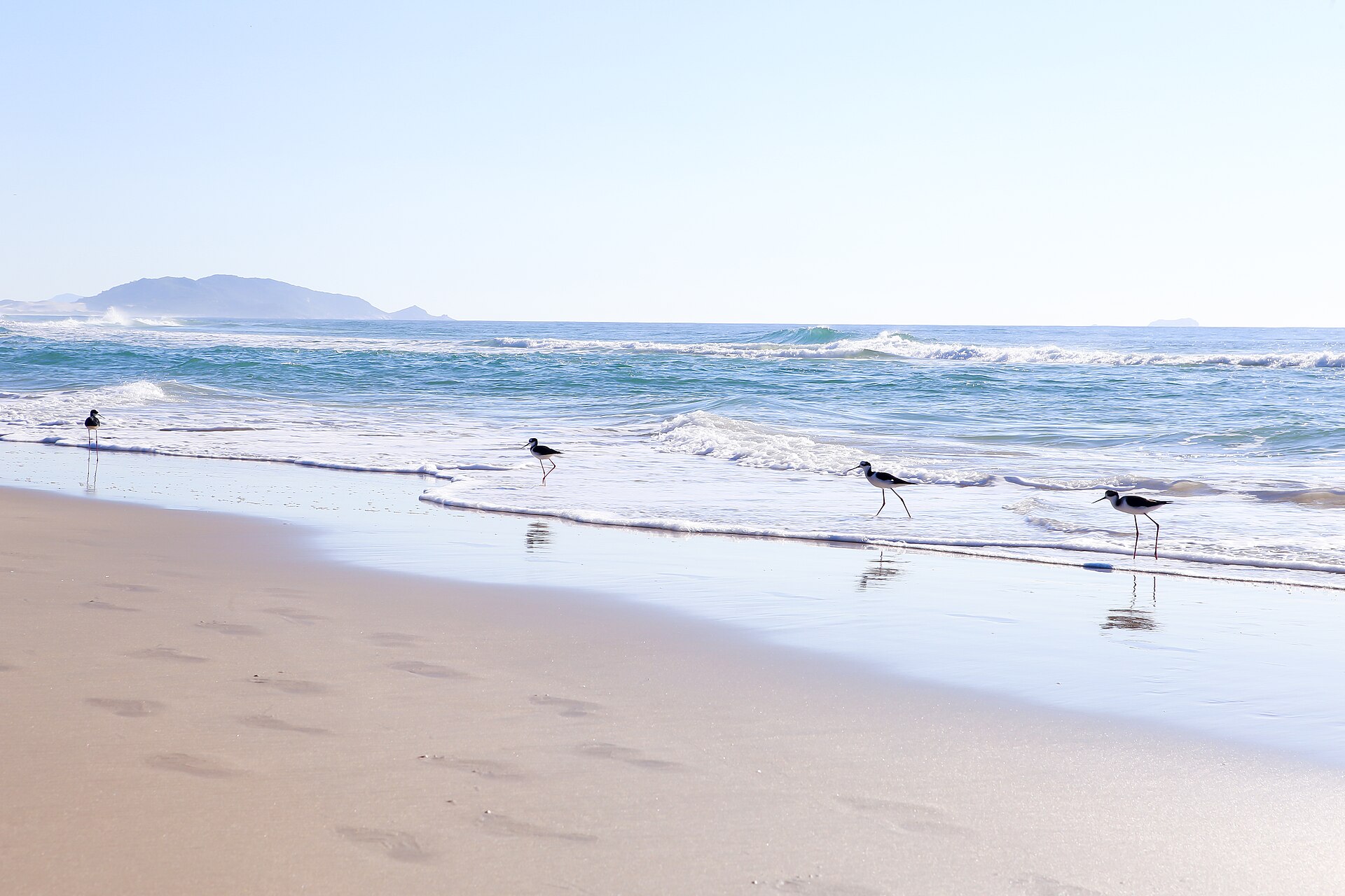 Praia do Campeche, Florianópolis